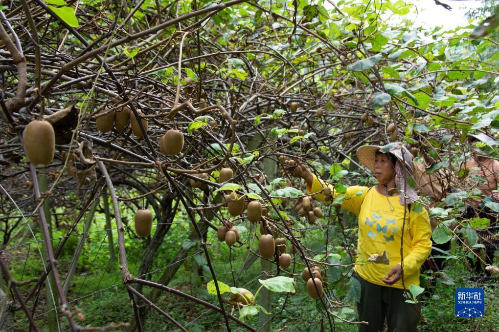 捕鱼游戏下载